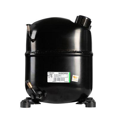 Embraco Compressor 500 kg par jour LZ-05 Ammonium Flake Ice Machine pour le Sri Lanka et la Corée