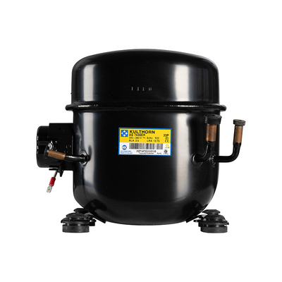 Capacité de stockage de glace de 200 kg Capacité de remplissage de 620 g LZ-1000 Machine à glaçons commerciaux